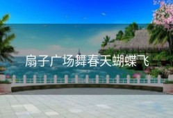 扇子广场舞春天蝴蝶飞