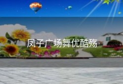 凤子广场舞优酷殇