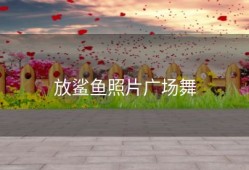 放鲨鱼照片广场舞