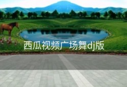 西瓜视频广场舞dj版