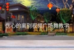 伤心的离别视频广场舞教学