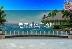 老年团体广场舞