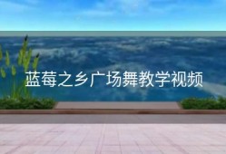 蓝莓之乡广场舞教学视频