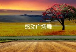 感动广场舞