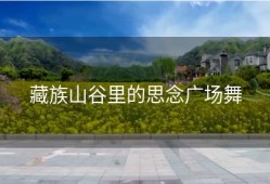 藏族山谷里的思念广场舞