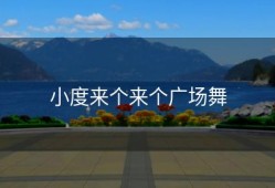 小度来个来个广场舞