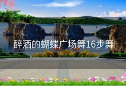 醉酒的蝴蝶广场舞16步舞