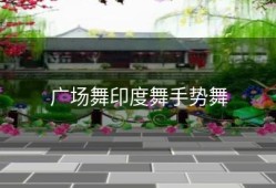 广场舞印度舞手势舞