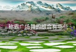 称霸广场舞的组合有哪些