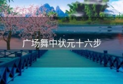 广场舞中状元十六步