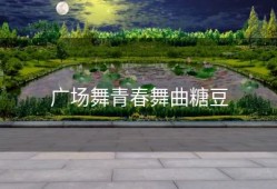 广场舞青春舞曲糖豆