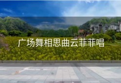 广场舞相思曲云菲菲唱