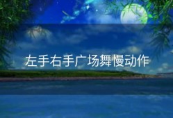 左手右手广场舞慢动作