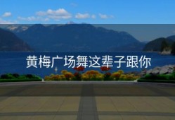 黄梅广场舞这辈子跟你