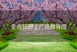 走在田野上广场舞背面