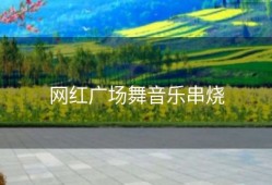 网红广场舞音乐串烧