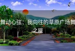 舞动心弦：我向往的草原广场舞之旅