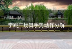 学跳广场舞手势动作分解