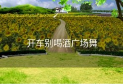 开车别喝酒广场舞