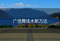 广场舞佳木斯万达