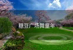 糖豆广场舞童年