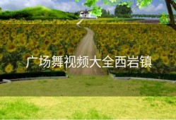 广场舞视频大全西岩镇