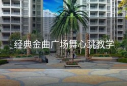 经典金曲广场舞心跳教学