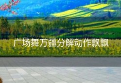 广场舞万疆分解动作飘飘
