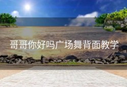 哥哥你好吗广场舞背面教学