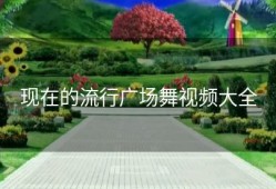 现在的流行广场舞视频大全