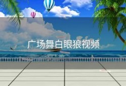 广场舞白眼狼视频