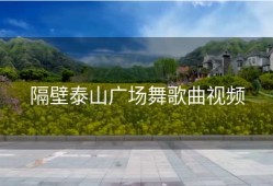 隔壁泰山广场舞歌曲视频