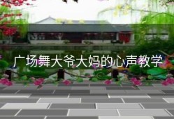 广场舞大爷大妈的心声教学