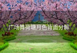 广场舞荷塘月色背面分解