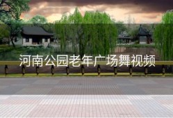 河南公园老年广场舞视频