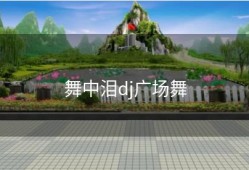 舞中泪dj广场舞