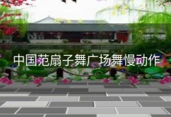 中国范扇子舞广场舞慢动作