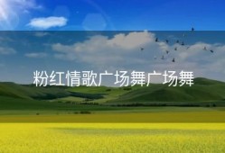 粉红情歌广场舞广场舞