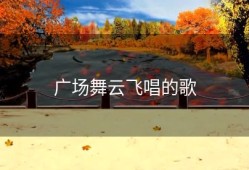 广场舞云飞唱的歌