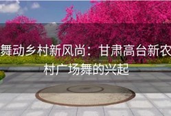 舞动乡村新风尚：甘肃高台新农村广场舞的兴起