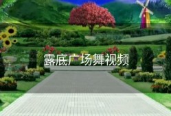 露底广场舞视频