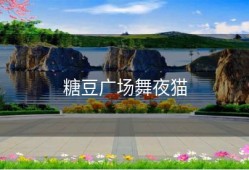 糖豆广场舞夜猫