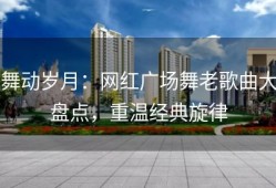 舞动岁月：网红广场舞老歌曲大盘点，重温经典旋律