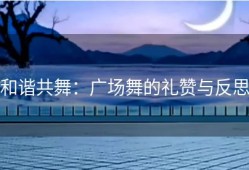 和谐共舞：广场舞的礼赞与反思