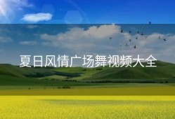 夏日风情广场舞视频大全