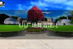 飞儿广场舞酒馆儿