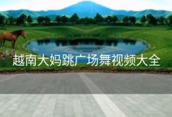 越南大妈跳广场舞视频大全