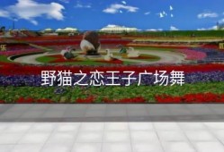 野猫之恋王子广场舞