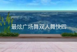 最炫广场舞双人舞快四