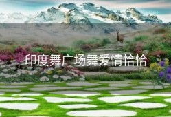 印度舞广场舞爱情恰恰